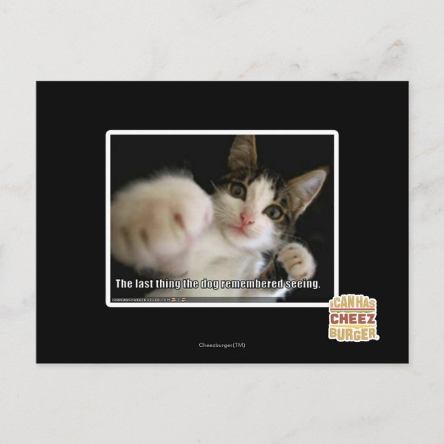 Das Letzte Postkarte (Vorderseite)