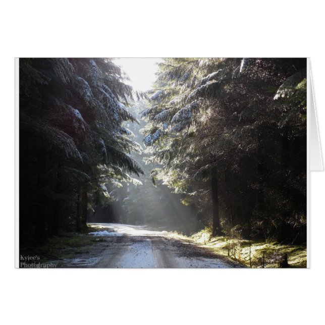 Das Licht im Wald (Vorderseite (Horizontal))