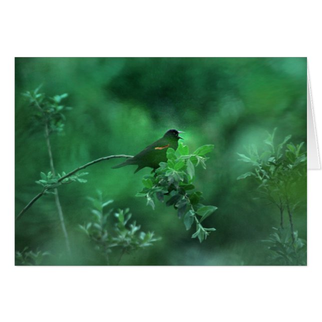 Das Lied (Vorderseite (Horizontal))