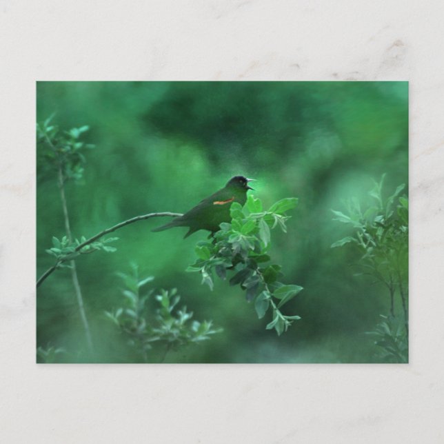 Das Lied Postkarte (Vorderseite)