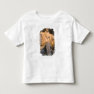 Das Lincoln Memorial in Washington DC. Kleinkind T-shirt