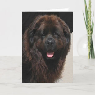 Das Linderhof Newfie Karte