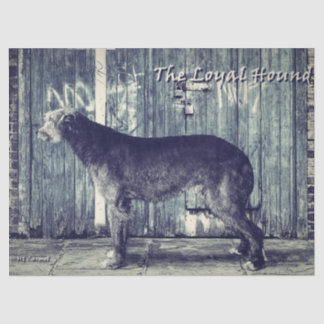 Das Loyal Hound Vintag Seidenpapier