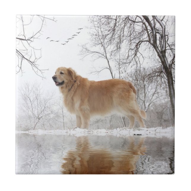 Das majestätische golden retriever fliese (Vorderseite)
