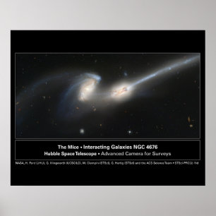 Das Mäuse-Hubble-Teleskop-Foto Poster