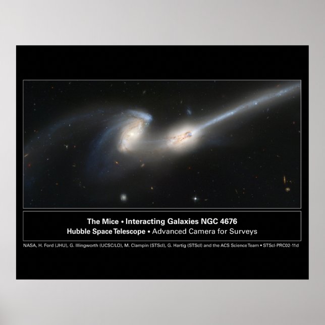 Das Mäuse-Hubble-Teleskop-Foto Poster (Vorne)