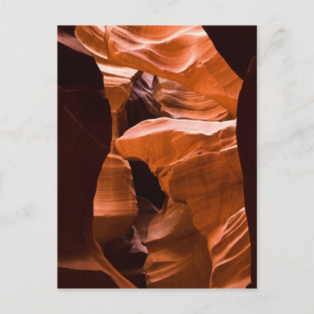 Das Maze-Postkartei-Exemplar Postkarte (Vorderseite)