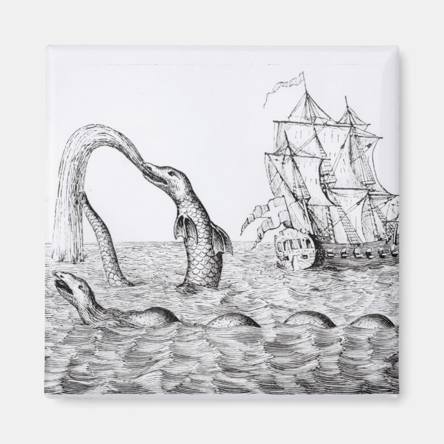 Das Meer Magnet (Vorne)