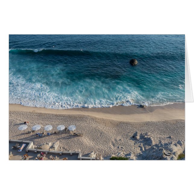 Das Meer von Cortez (Vorderseite (Horizontal))