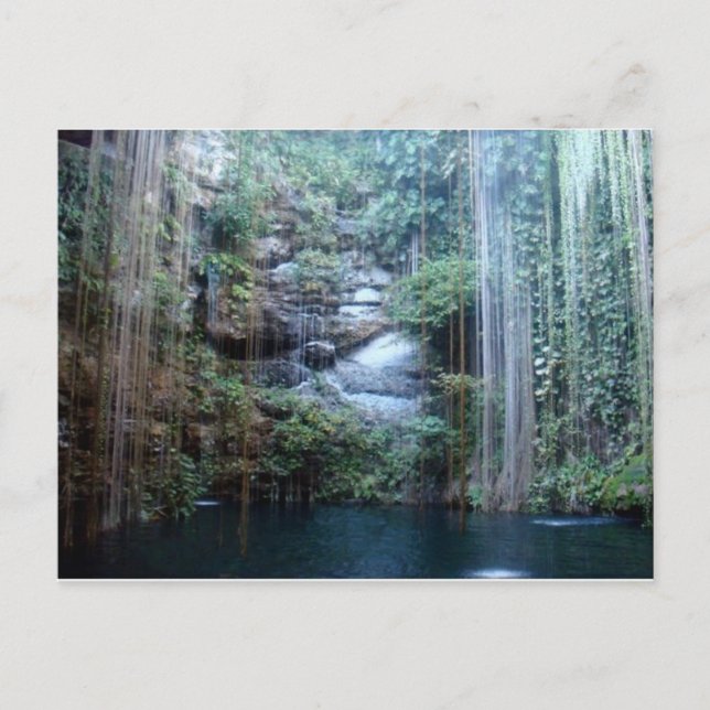 Das Meisterwerk der Natur Postkarte (Vorderseite)