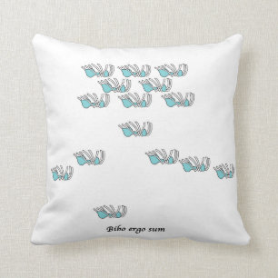 Das Middlesex-Krankenhaus/absolut das Kissen