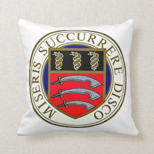 Das Middlesex-Krankenhaus-Kissen Kissen