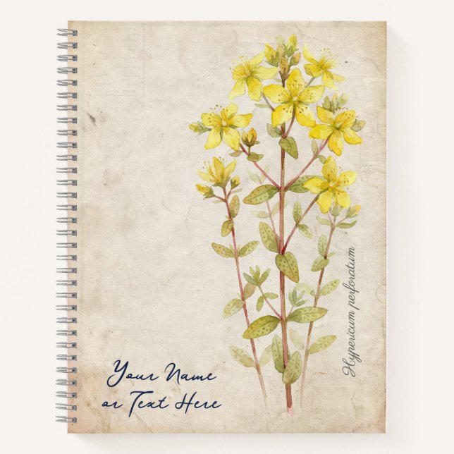 Das Mittsommer-Geheimnis: Hypericum Perforatum Notizbuch (Vorderseite)