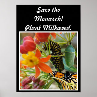 Das Monarchen-Poster gerettet Poster