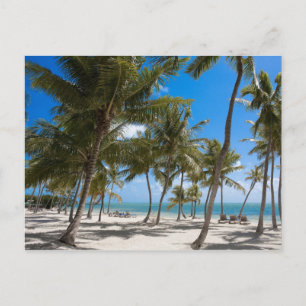 Das Moorings Resort, Marathon, Key West, 2 Postkarte