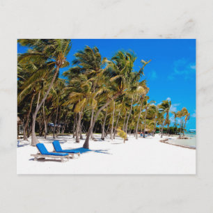 Das Moorings Resort, Marathon, Key West, 3 Postkarte