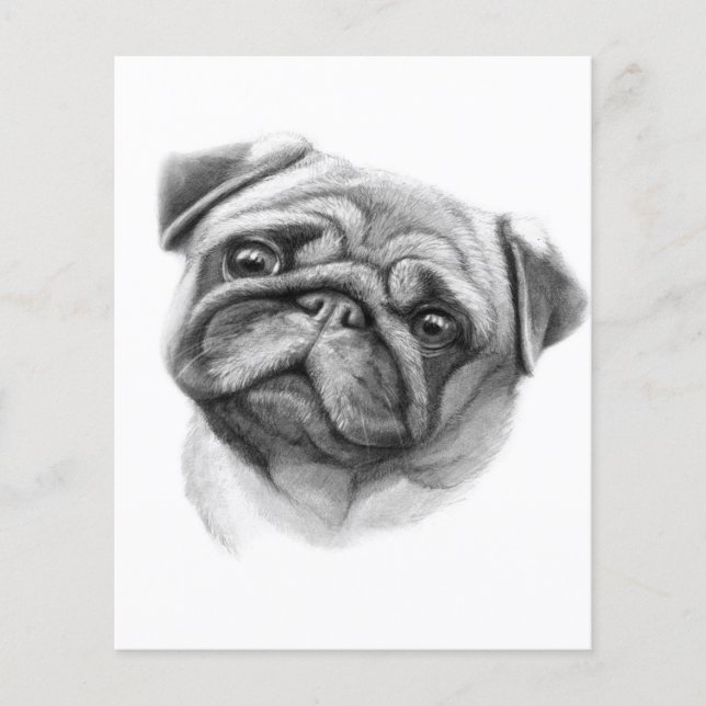 Das Mops-Portrait | NIEDLICHER MOPS Flyer (Vorne)
