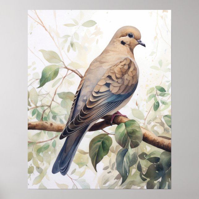 Das Mourning Dove Bird Art Print Poster (Vorne)