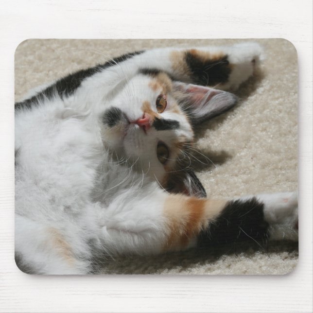 Das Mousepad der Hoffnung (Vorne)