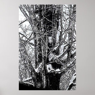 Das MUSEUM Zazzle-Poster von Snowy Maple Poster