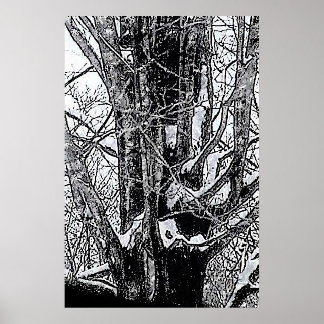 Das MUSEUM Zazzle-Poster von Snowy Maple Poster (Vorne)
