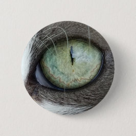 Das nahe hohe Katzenauge Button