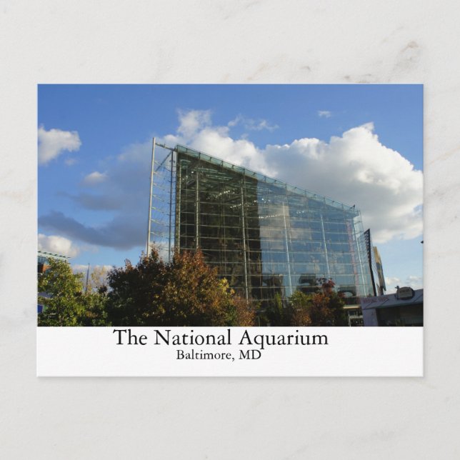 Das nationale Aquarium Postkarte (Vorderseite)