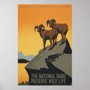 Das Nationalpark-Konserven-wilde Leben Poster
