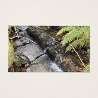 Das Natürliche Umfeld sucht Karte auf