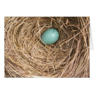 Das Nest der Vögel (West Virginia)