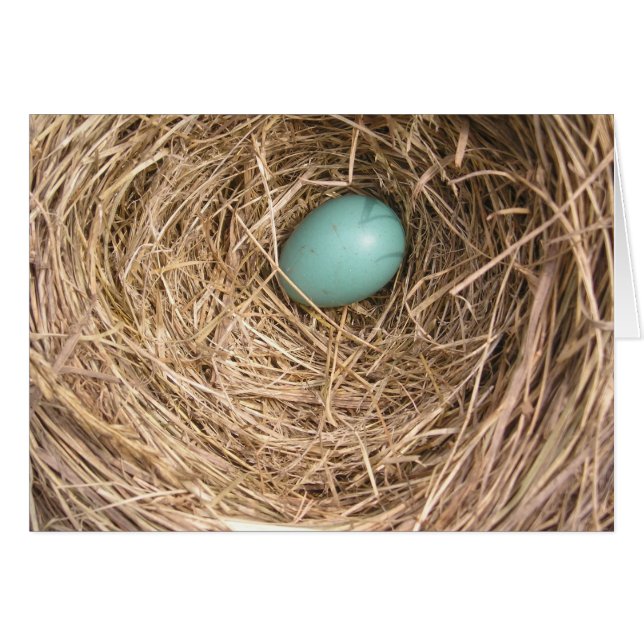 Das Nest der Vögel (West Virginia) (Vorderseite (Horizontal))