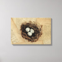 Das Nest des Vogels mit Eiern modernes Vintages