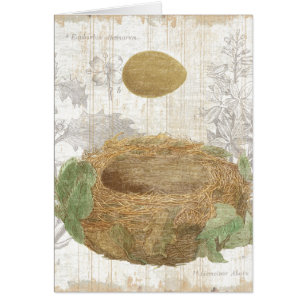 Das Nest eines Vogels mit einem Brown-Ei