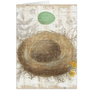 Das Nest eines Vogels mit einem grünen Ei