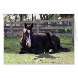 Das Nickerchen-Zeit der Pferde