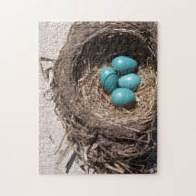 Das niedliche Nest-blaue Robin-Eier des rustikalen