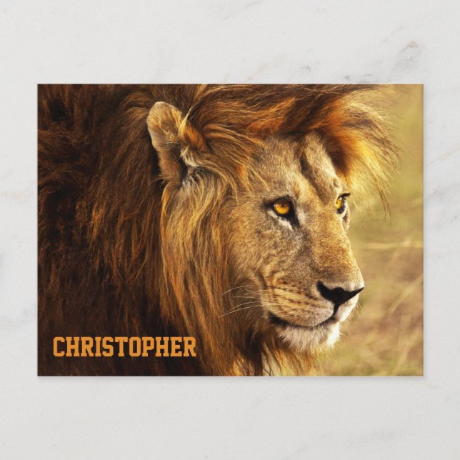 Das Nobelionenfoto Postkarte (Vorderseite)