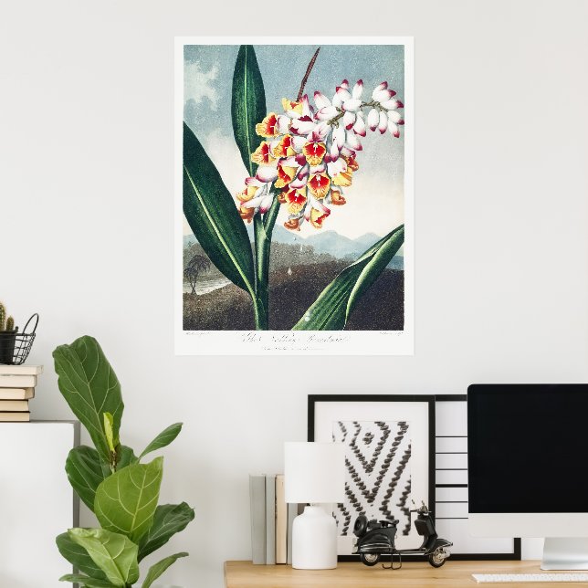 Das Nodding Renealmia vom Tempel der Flora Kunst Poster (Heimbüro)
