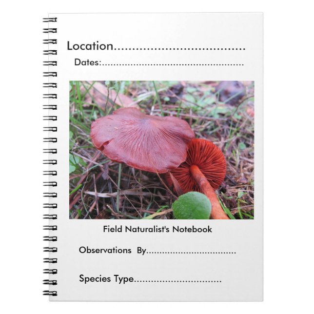 Das Notizbuch des Feldnaturwissenschaftlers durch Notizblock (Vorderseite)