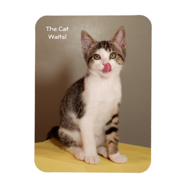 Das Open Humors Tabby Cat Magnet (Vertikal)