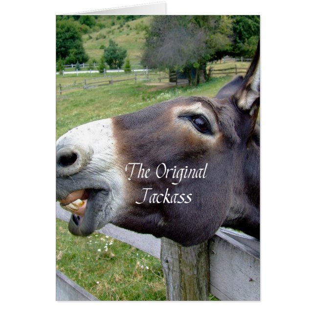 Das Original Jackass Funny Donkey Mule Farm Animal (Vorne)