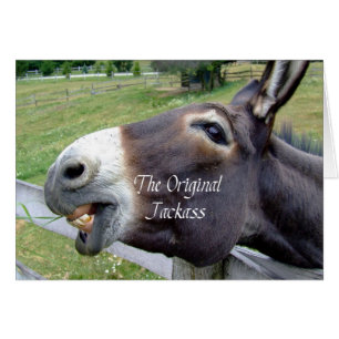 Das Original Jackass Funny Donkey Mule Farm Animal