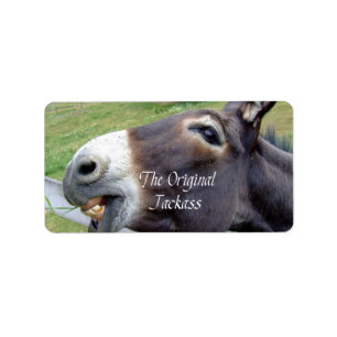 Das Original Jackass Funny Donkey Mule Farm Animal Adressaufkleber