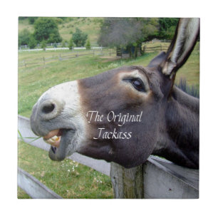 Das Original Jackass Funny Donkey Mule Farm Animal Fliese
