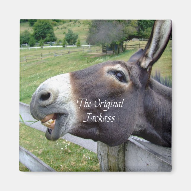 Das Original Jackass Funny Donkey Mule Farm Animal Magnet (Vorne)