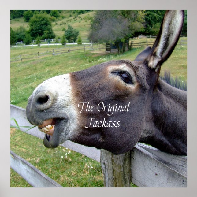 Das Original Jackass Funny Donkey Mule Farm Animal Poster (Vorne)