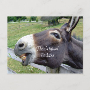 Das Original Jackass Funny Donkey Mule Farm Animal Postkarte