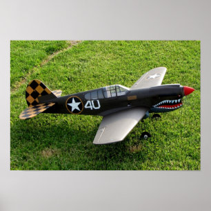 Das P-40-Warbird-Poster Poster