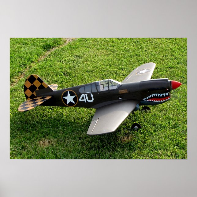 Das P-40-Warbird-Poster Poster (Vorne)