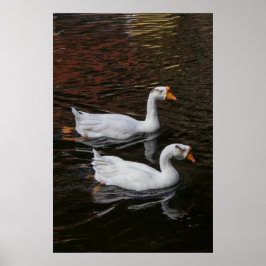Das Paar Poster